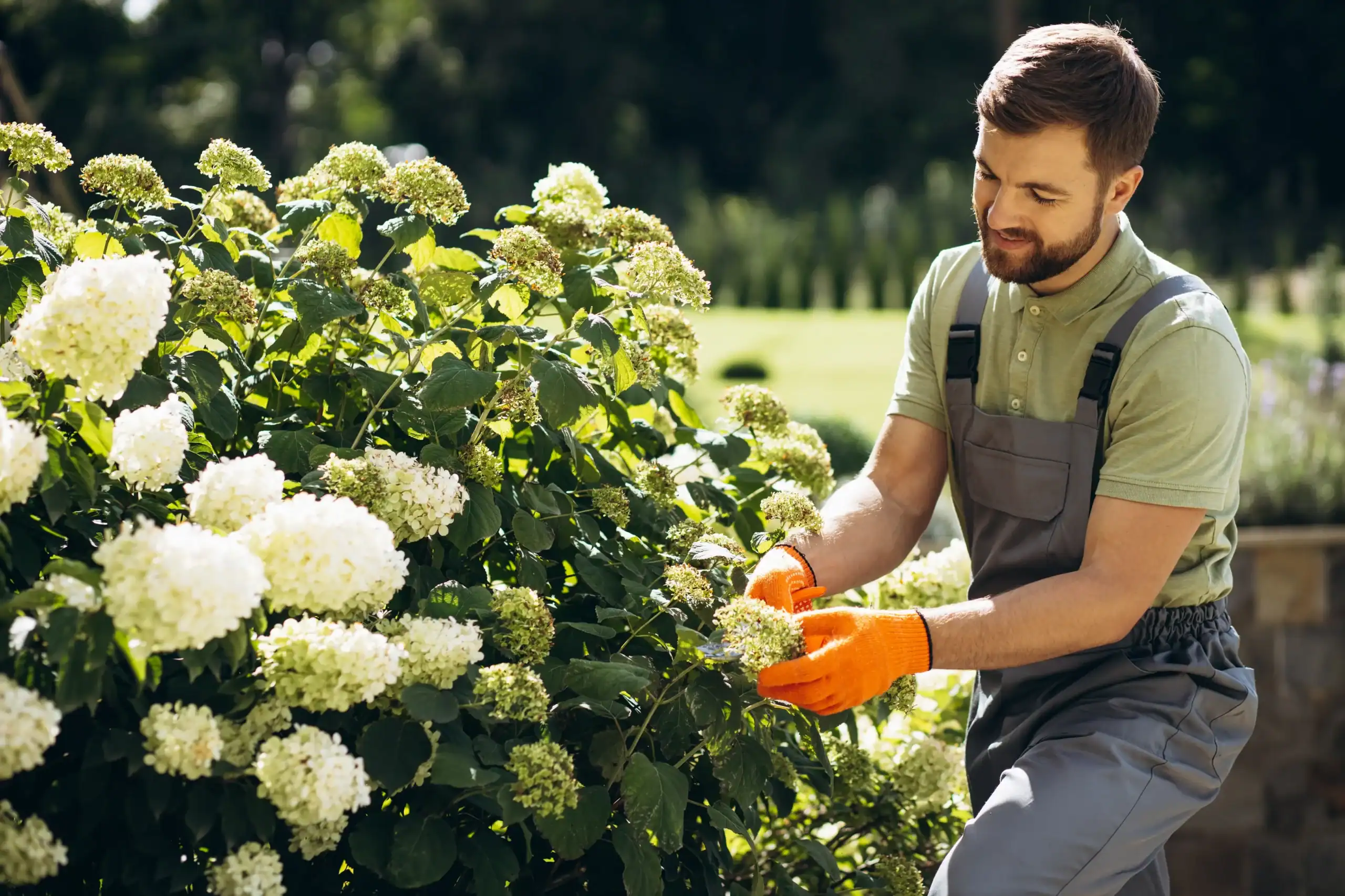 Landscaping Insurance Texas